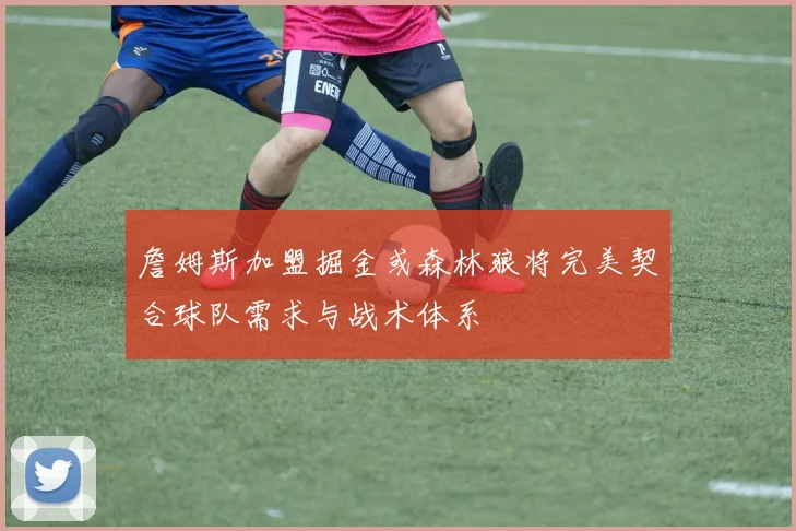 詹姆斯加盟掘金或森林狼将完美契合球队需求与战术体系