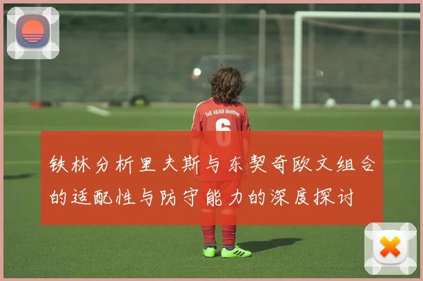 铁林分析里夫斯与东契奇欧文组合的适配性与防守能力的深度探讨